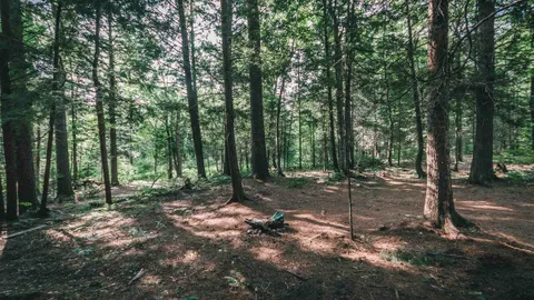 Wilderness Tent — image 40 of 40
