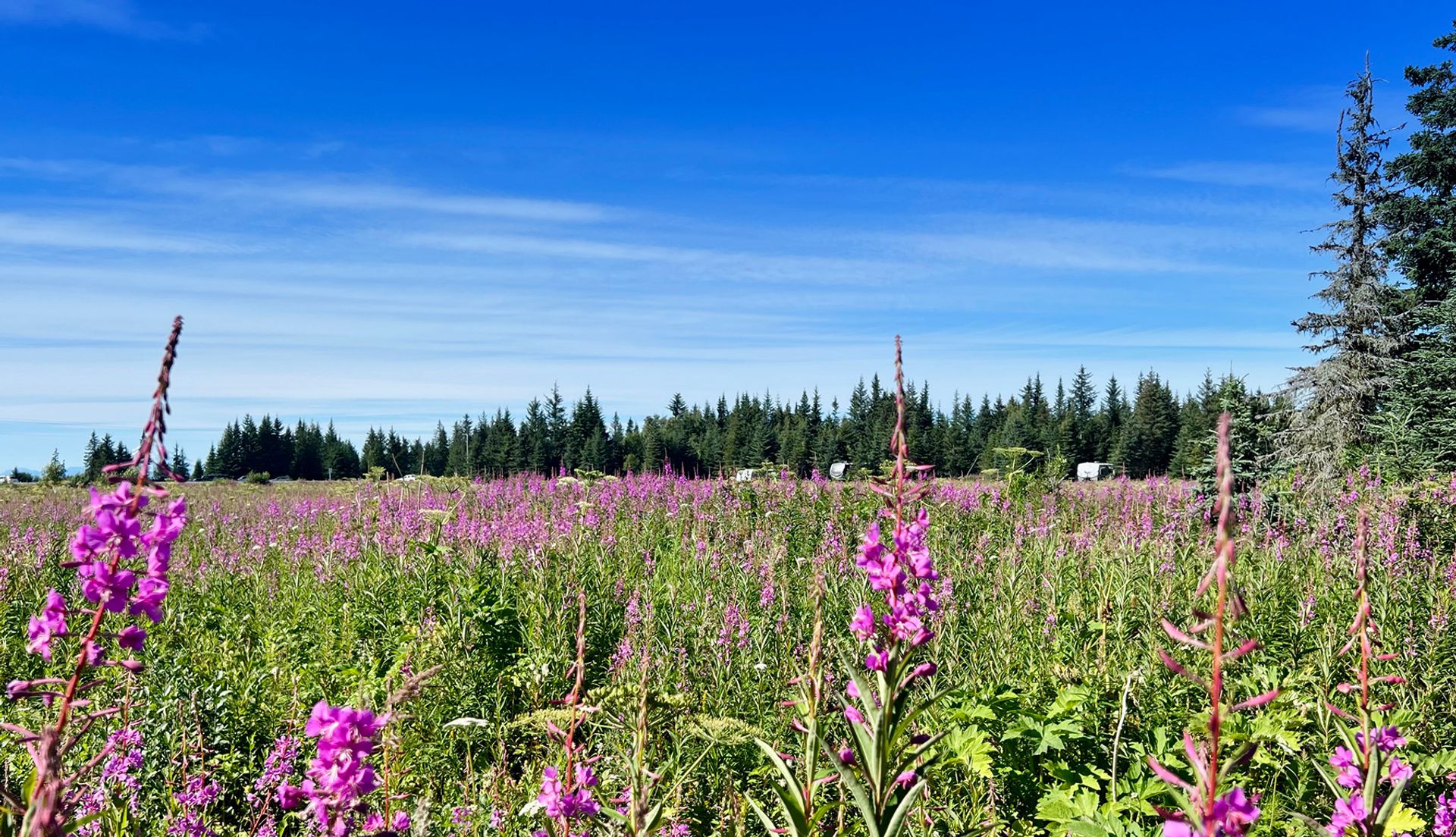 Blue Spruce Campground, Ninilchik, Alaska