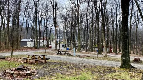 Premium Pull-Through RV Site — image 3 of 3