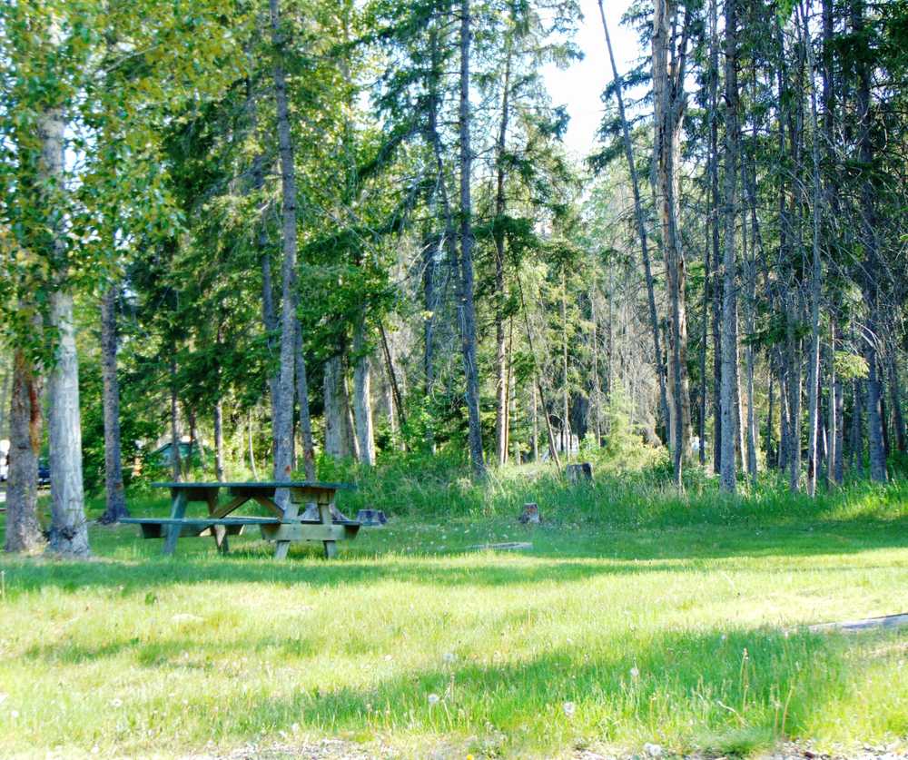 Spruce Grove Campground, Fairmont Hot Springs, British Columbia - Photo 5