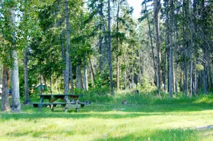 Spruce Grove Campground – photo 5