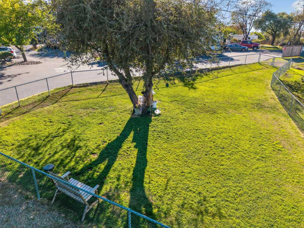 Park Image 14