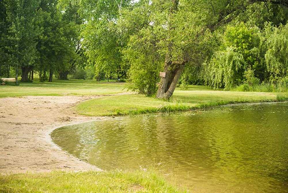 Park Image 8