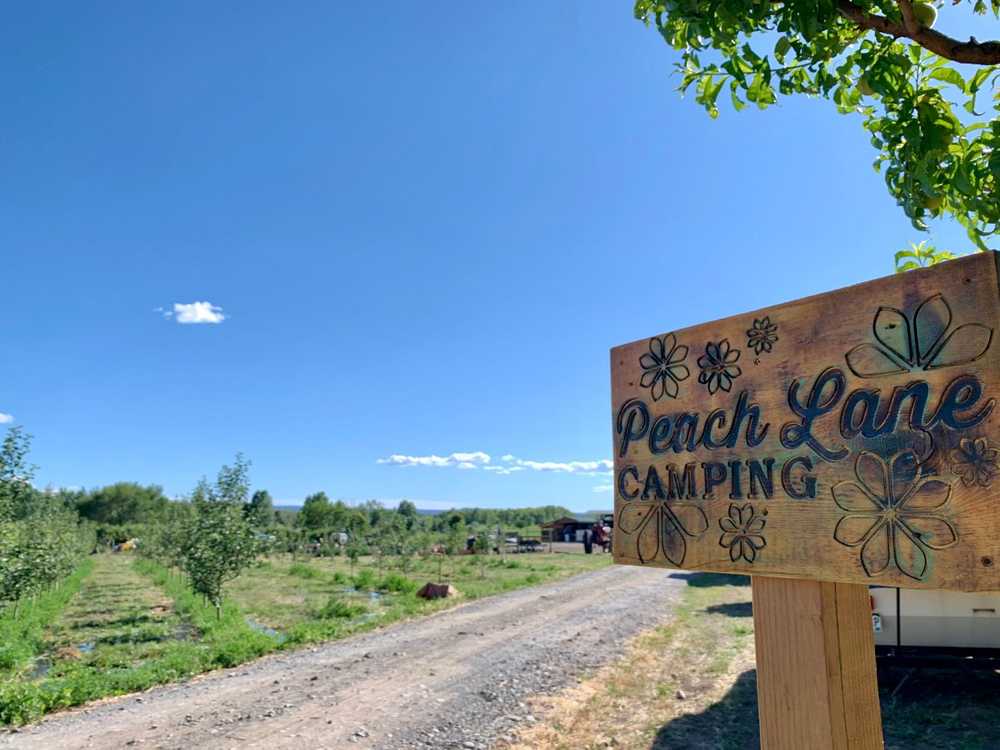 Peach Lane Camping