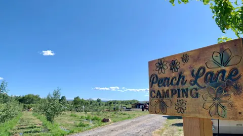 Peach Lane Campsites — image 1 of 5
