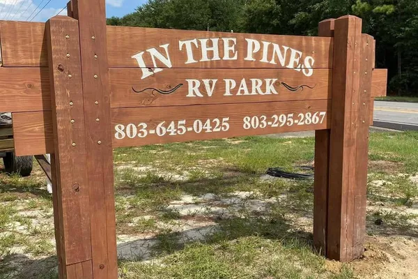 In the Pines – photo 1