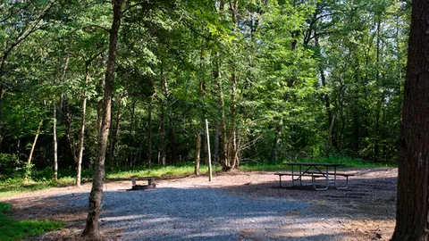Primitive Tent Camping — image 1 of 3