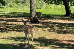 Clear Creek Lake – photo 5