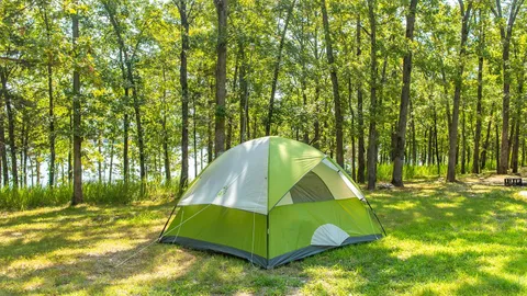 Rustic Popup/Tent Site — image 2 of 3