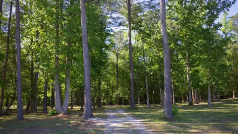 Tent Site — image 1 of 9