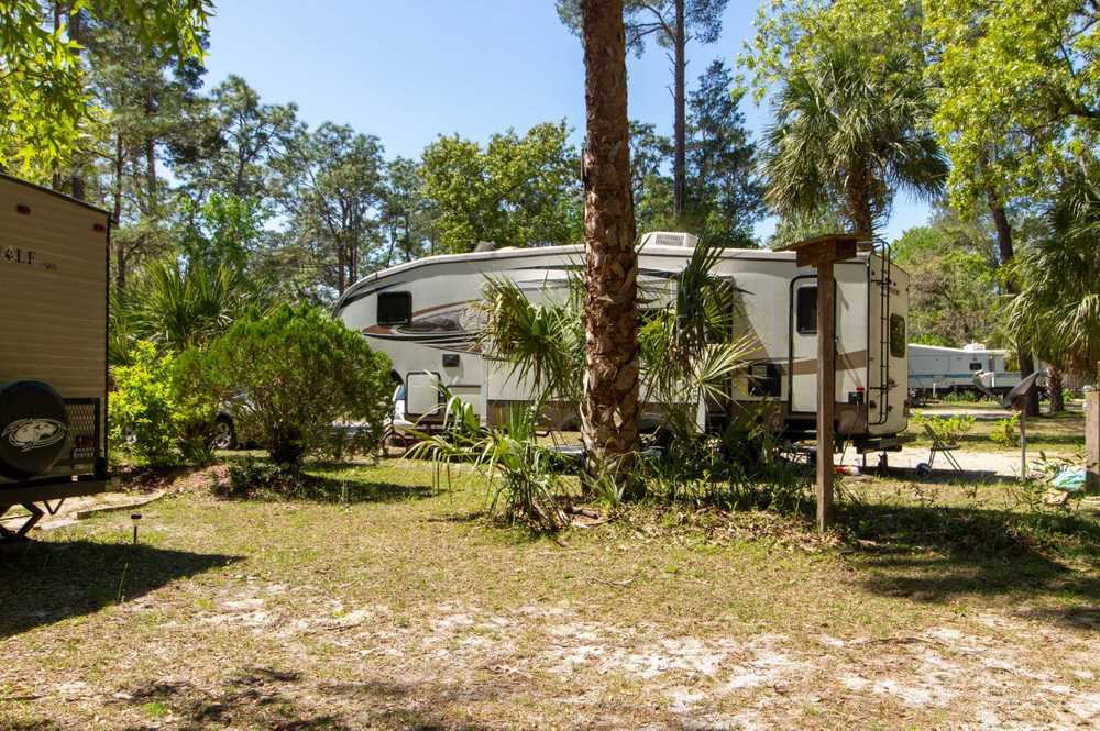 Village Pines Campground, Florida - Photo 4