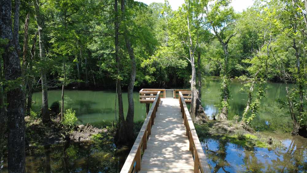 Holmes Creek Camping & RV Resort - Photo 2
