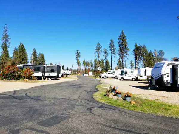 Pine Ridge RV Park and Storage, Paradise, California campground