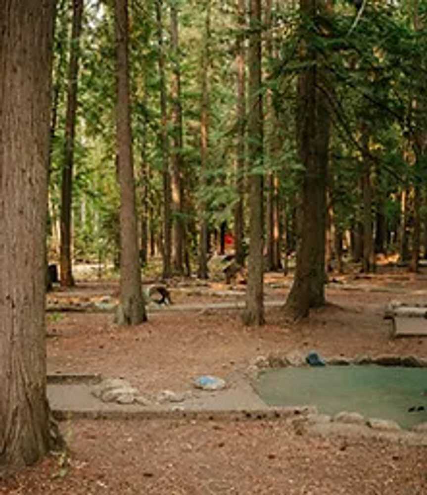 Park Image 8