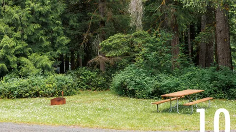Fern Lane Primitive Tent Site — image 11 of 11