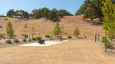 Deluxe Full Hookup Back-in RV Site — image 1 of 3