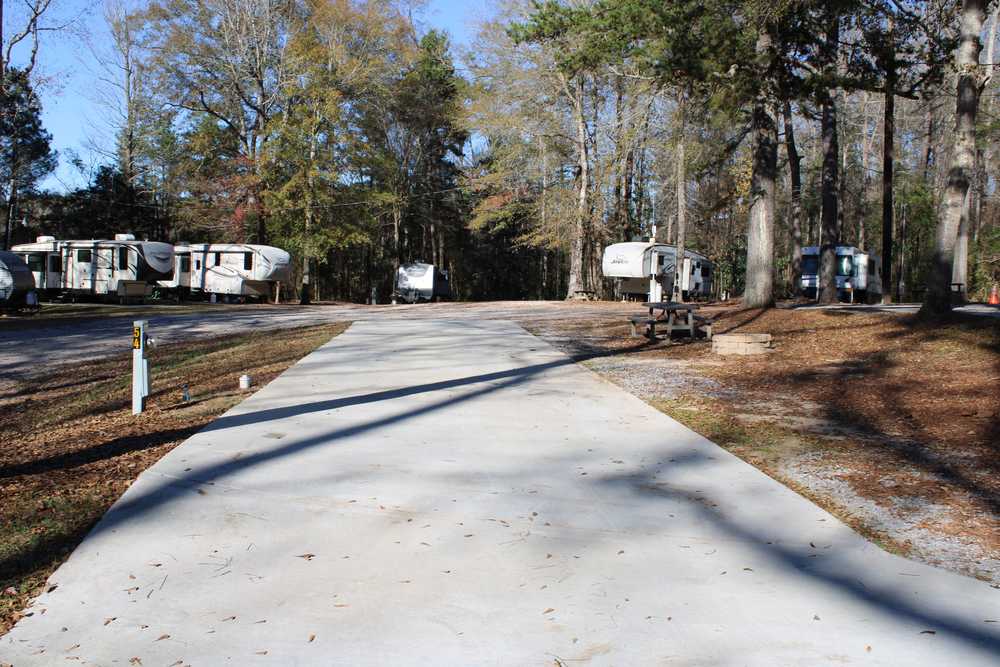 Park Image 8