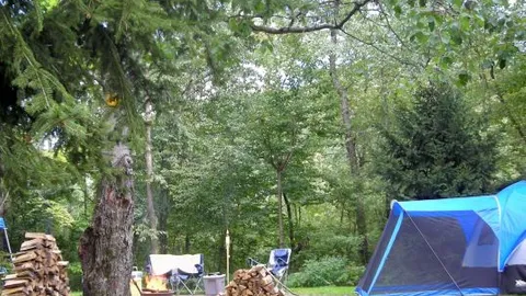 Primitive Tent — image 5 of 5