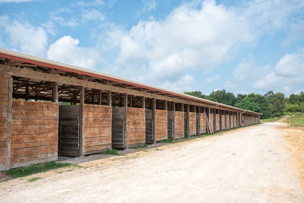 Mammoth Cave Horse Camp - Photo 5