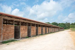 Mammoth Cave Horse Camp – photo 5