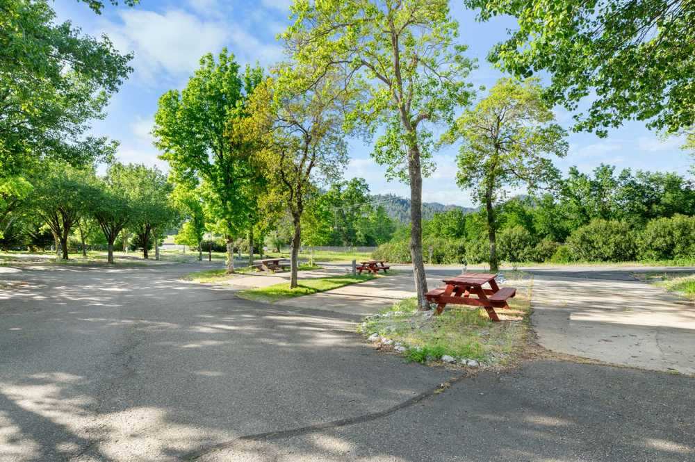 Park Image 8