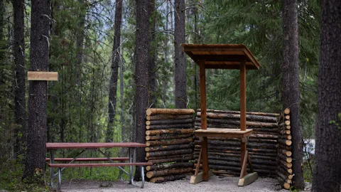 Primitive Tent Site — image 2 of 4