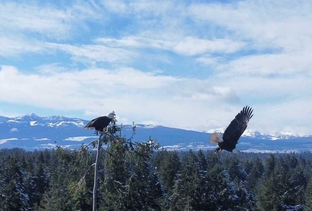 Salmon Point Resort Trailer Park & Marina, Campbell River, British Columbia - Photo 4