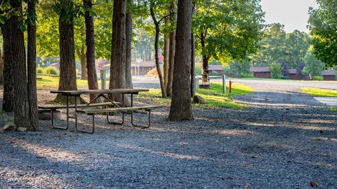 Standard Back-In RV Site — image 1 of 2