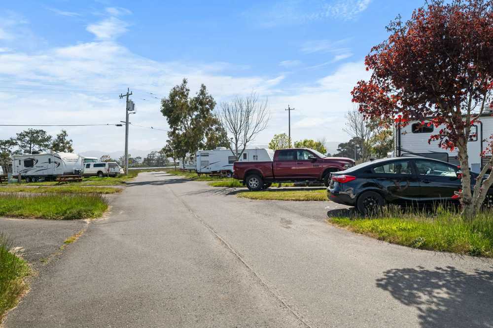 Park Image 5