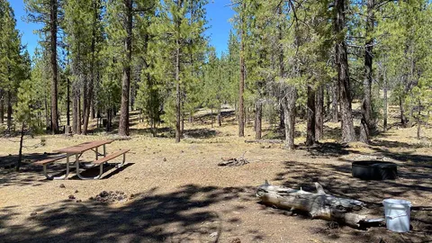 Forest Site Large — image 3 of 3