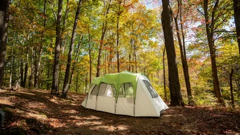 Deluxe Group Tent (8pp) — image 2 of 2