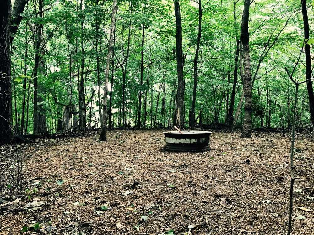 Wild Vines Campground - Photo 5