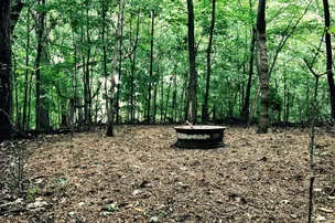 Wild Vines Campground – photo 5