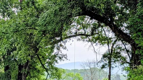 Primitive Tent Site Mountain View — image 1 of 12