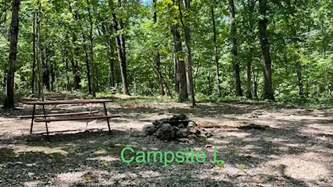 Tent Primitive — image 2 of 2