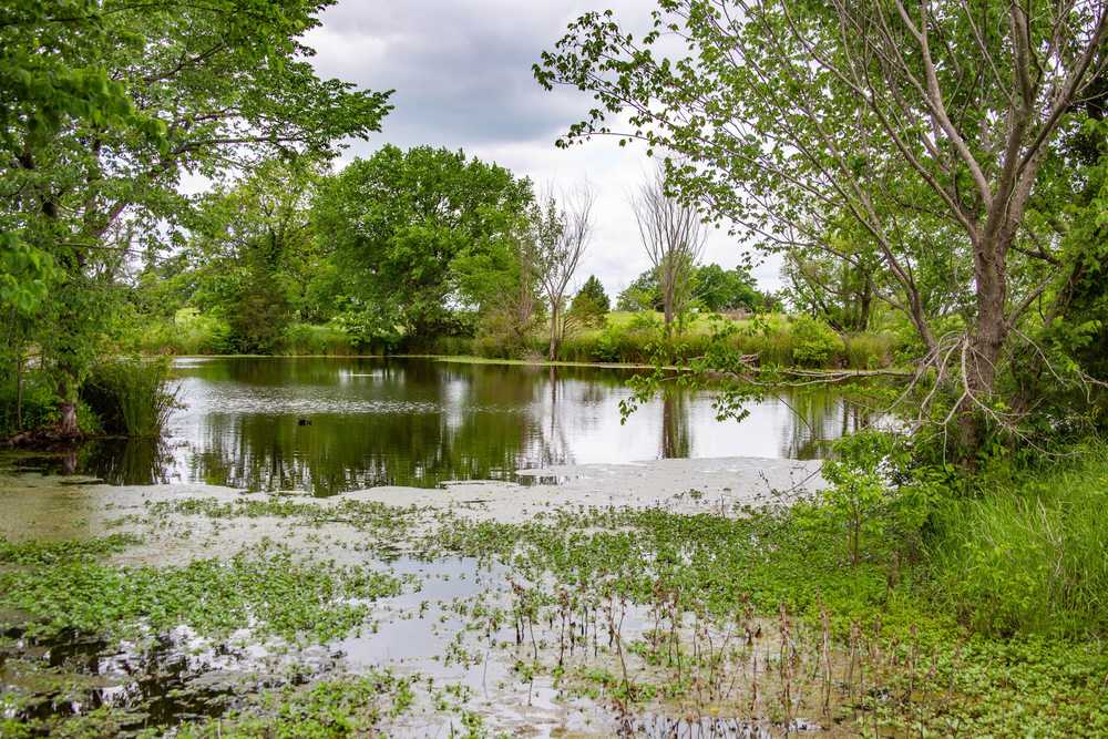 Park Image 8