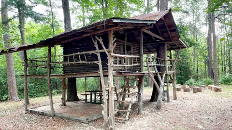 Tree House — image 9 of 9