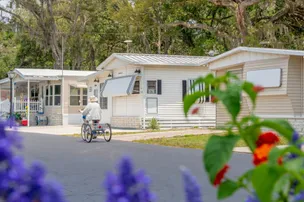 Rainbow Village Zephyrhills (Age Restricted 55+) – photo 3