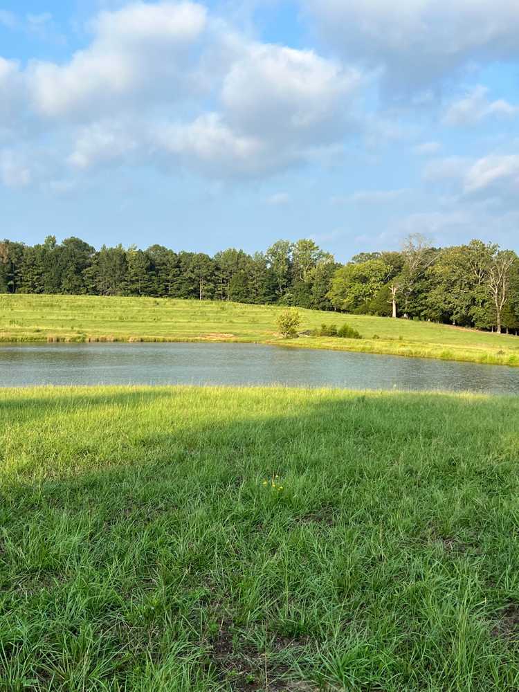 Park Image 7
