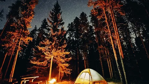 Standard Campsite — image 1 of 1