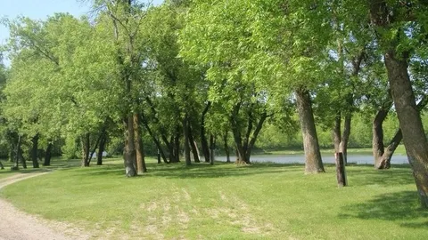 Riverview Primitive Site — image 1 of 1