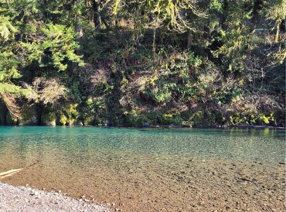 Kilchis River County Campground - Photo 5