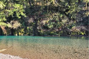 Kilchis River County Campground – photo 5