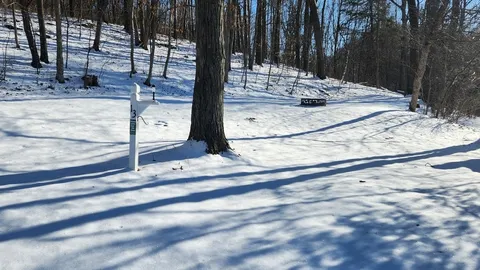 Wooded Tent Site — image 1 of 1