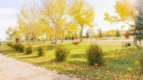 RV Site–Trail View (Power + Water) — image 1 of 15