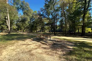 Rocky Bend Flint River Retreat – photo 3