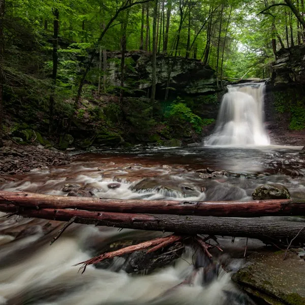 Best Campground Near Me, Dushore, Pennsylvania campground