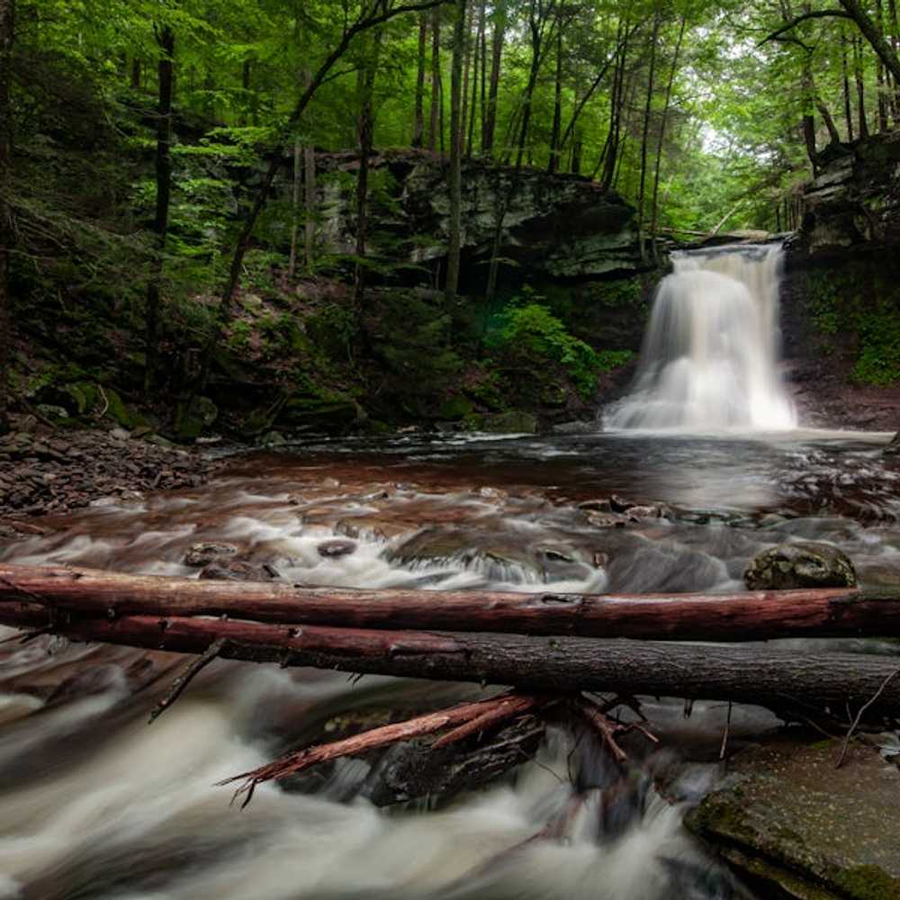 Best Campground Near Me, Dushore, Pennsylvania - Main Photo