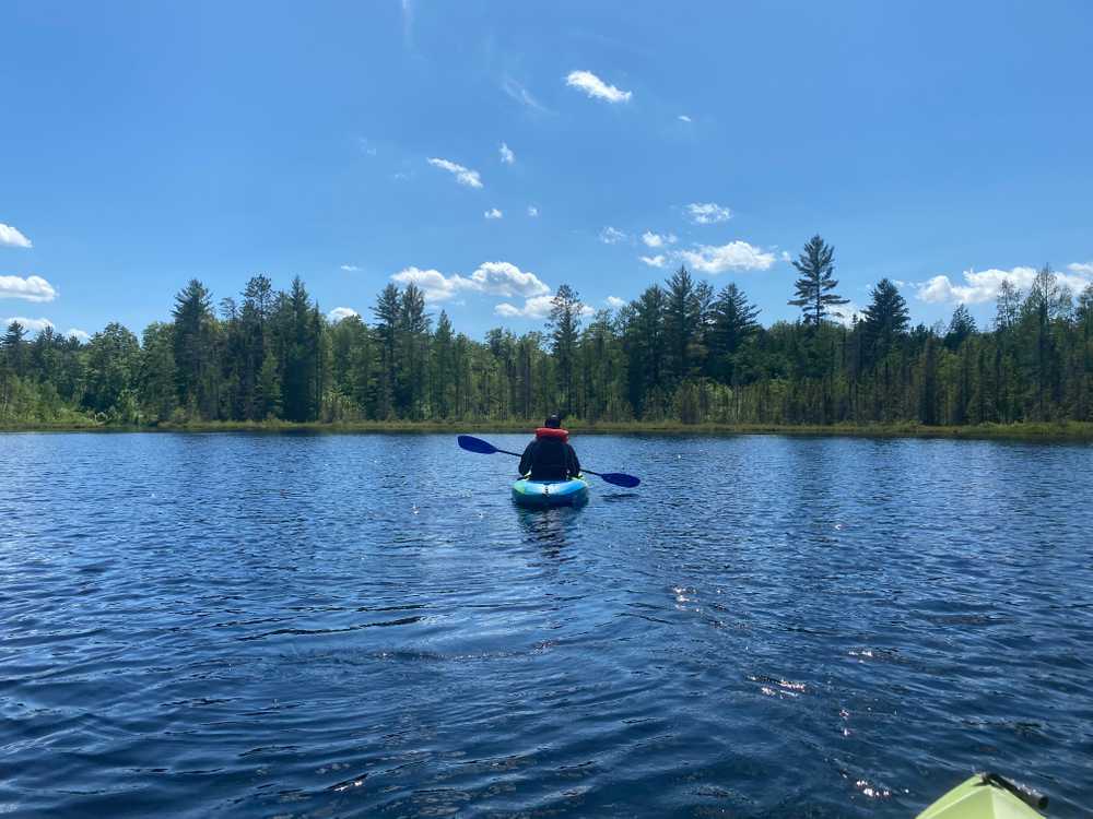 Land O' Lakes Nature RV Resort (Age Restricted 25+) - Photo 5
