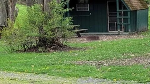 Green Cabin — image 1 of 1